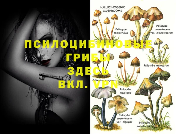 метадон Заводоуковск