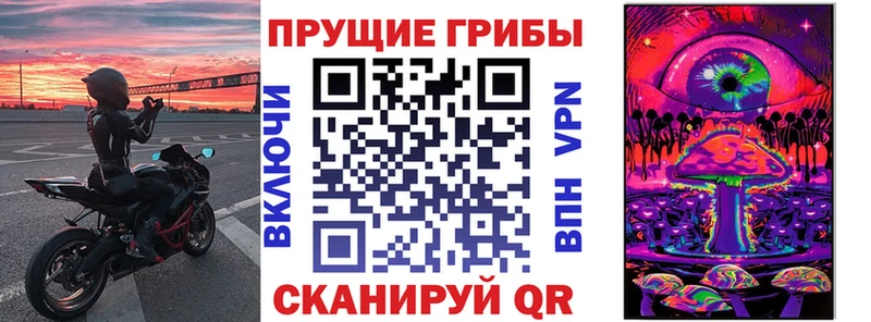 Галлюциногенные грибы GOLDEN TEACHER  Купить где  Пятигорск 